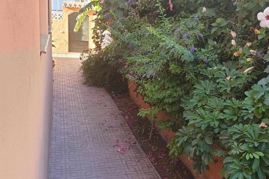 Casa Hurtado De Mendoza Pequena Almuñécar Eksteriør billede